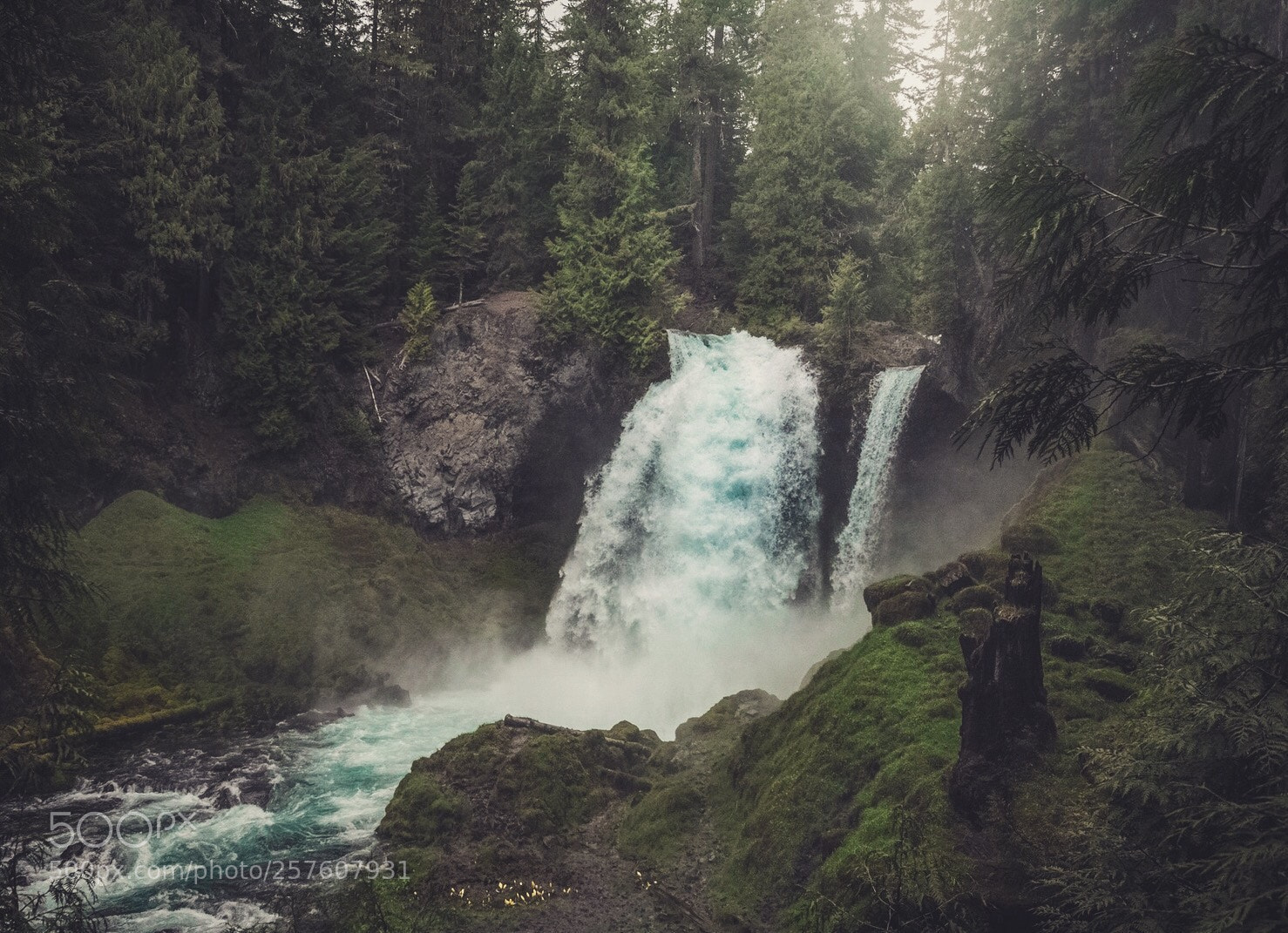 Canon EOS 5D Mark II sample photo. Sahalie photography