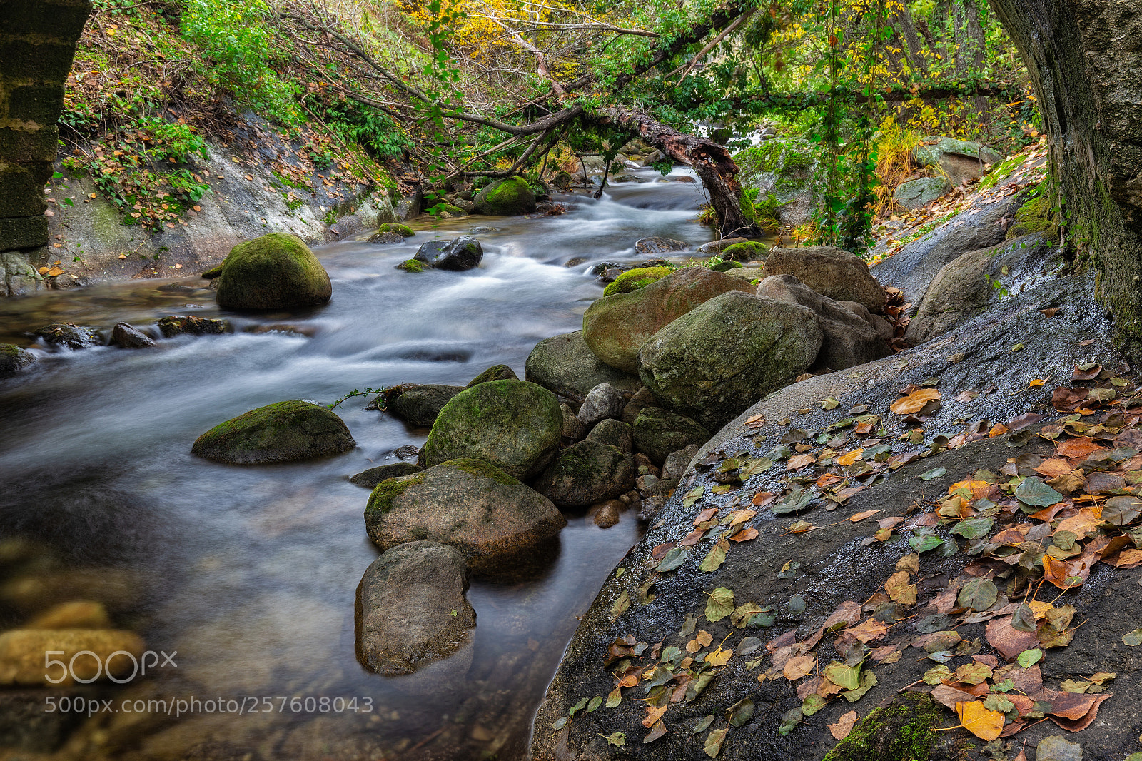 Canon EOS 6D sample photo. Garganta san gregorio  031216-9968 photography