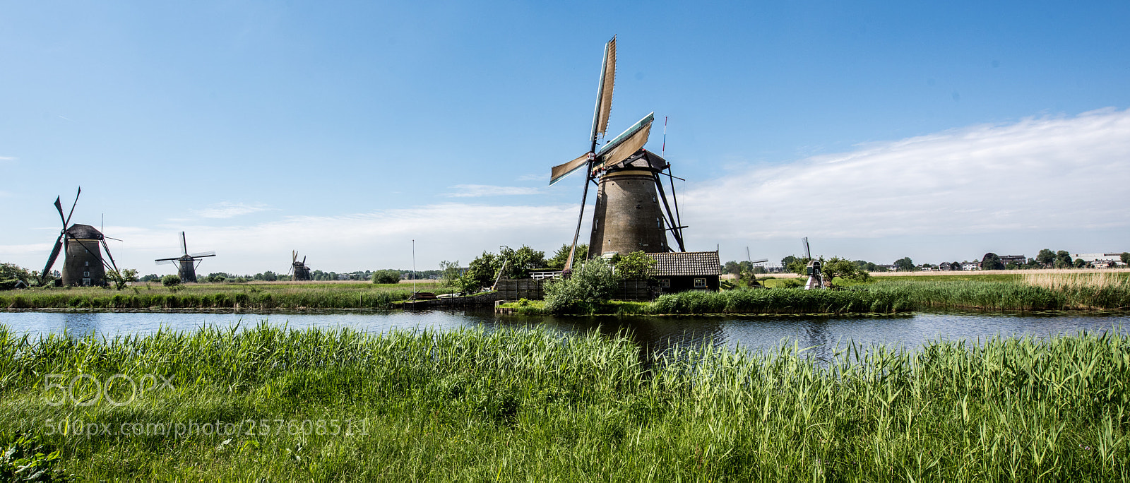 Nikon D810 sample photo. Kopiëren photography