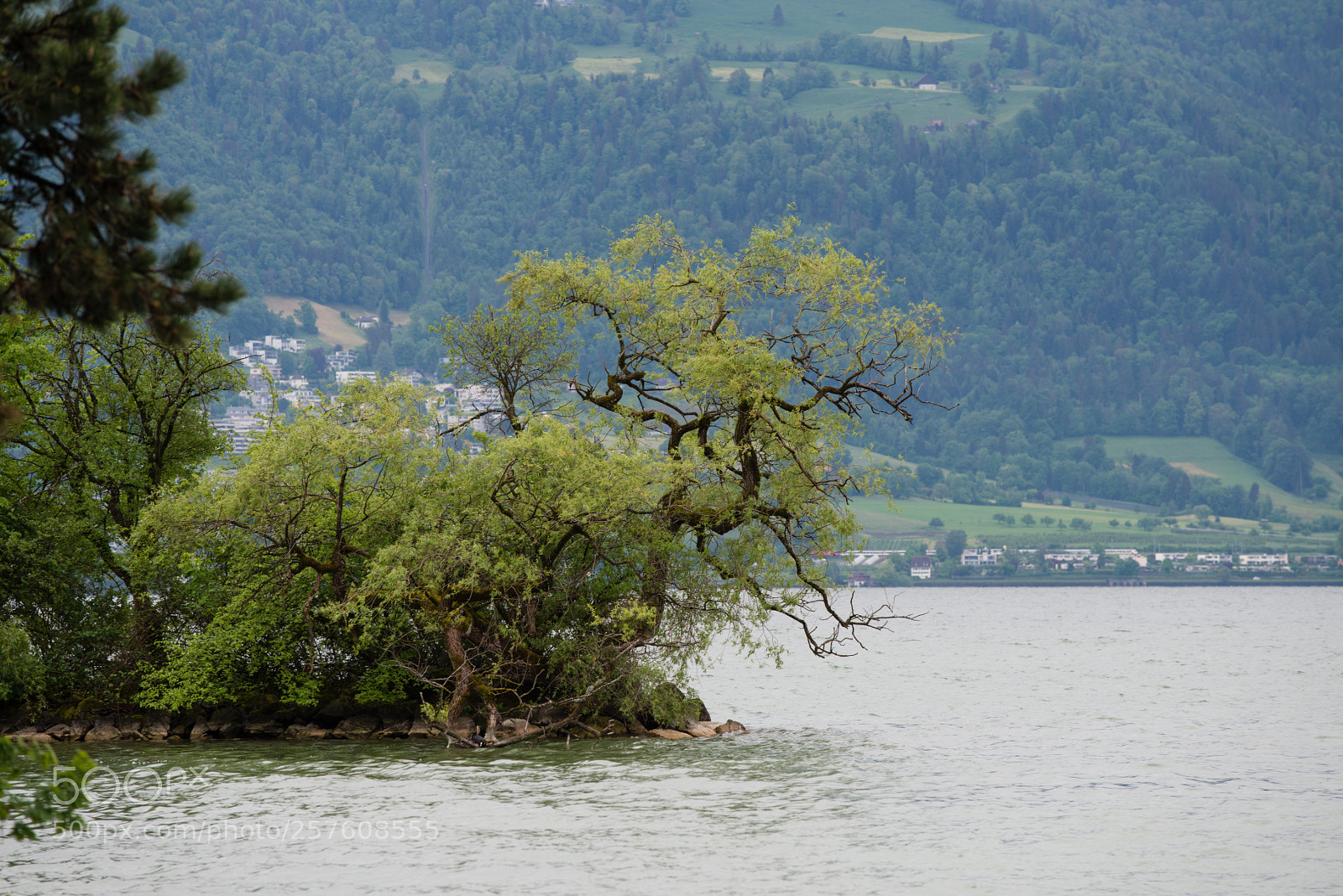 Nikon D800 sample photo. Springtime photography