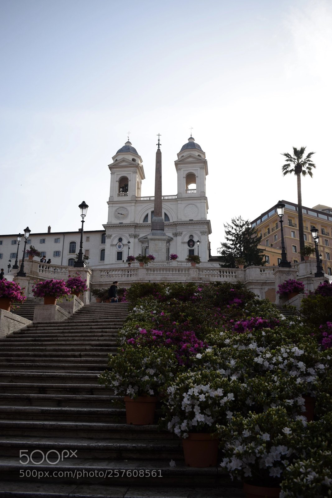 Nikon D5300 sample photo. Piazza di spagna photography