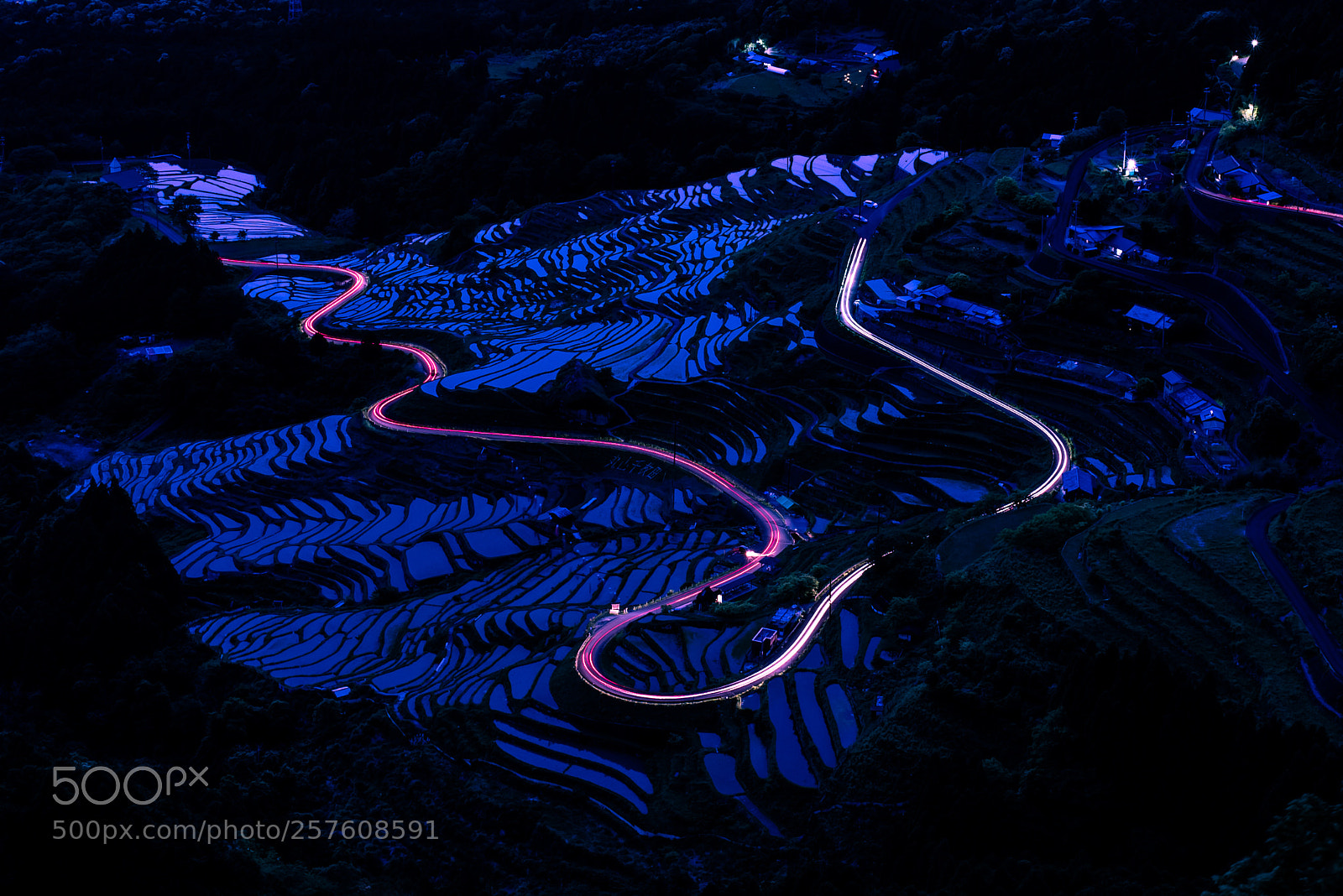 Nikon D750 sample photo. Rice terraces at night photography