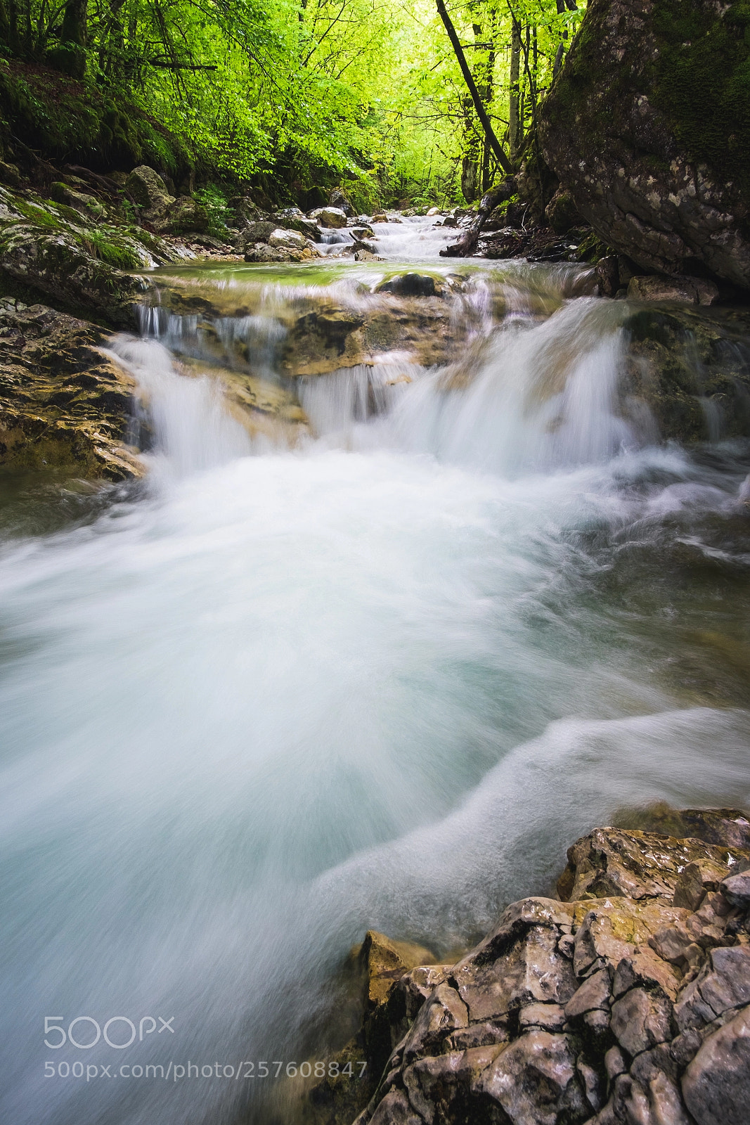 Fujifilm X-T1 sample photo. River in the woods photography