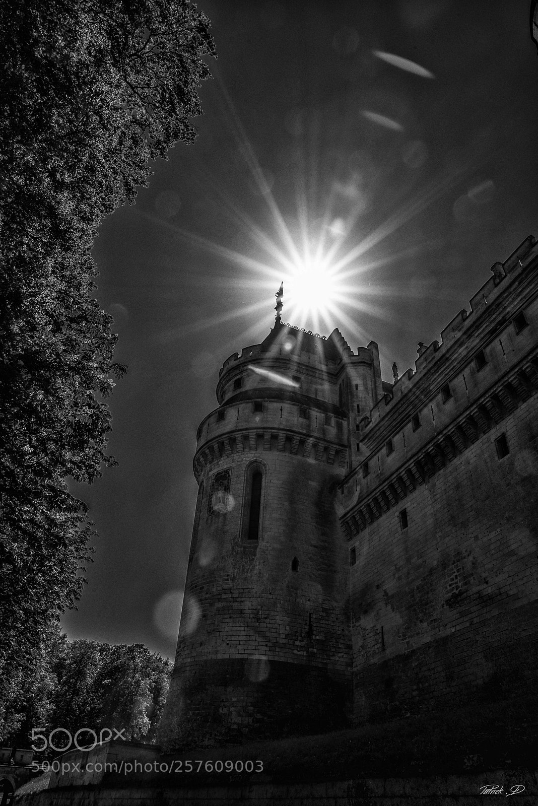 Nikon D750 sample photo. Tour du ch teau photography