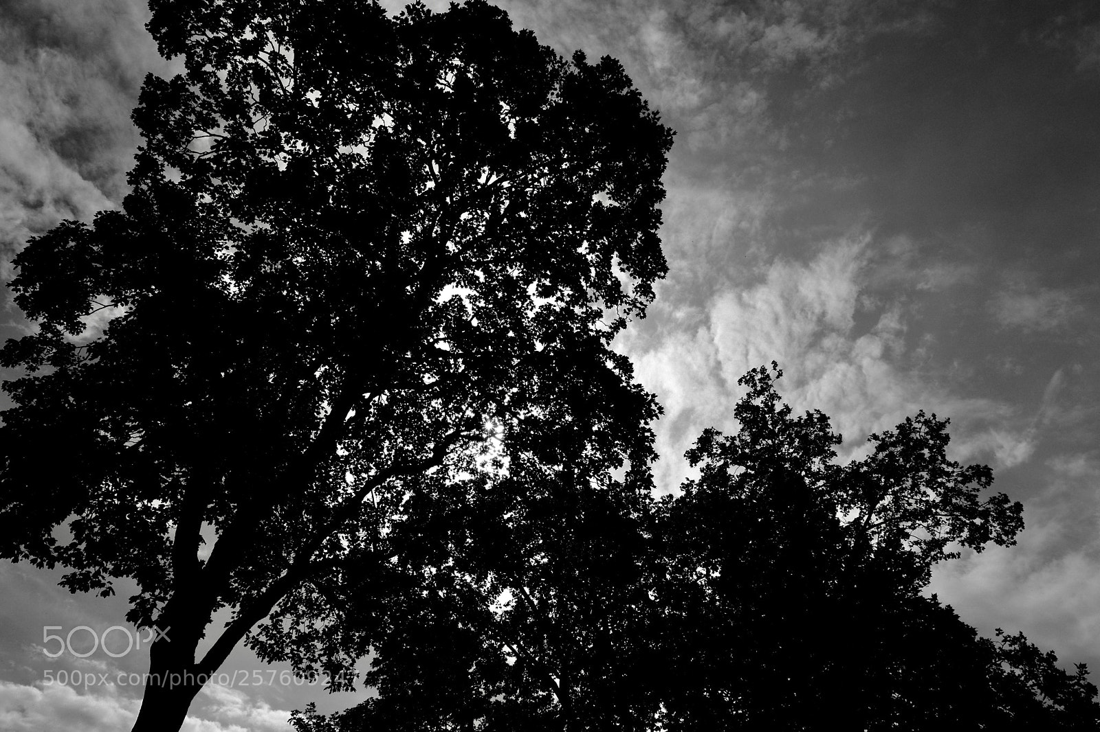 Fujifilm X-T20 sample photo. Gardan de sacr -c photography