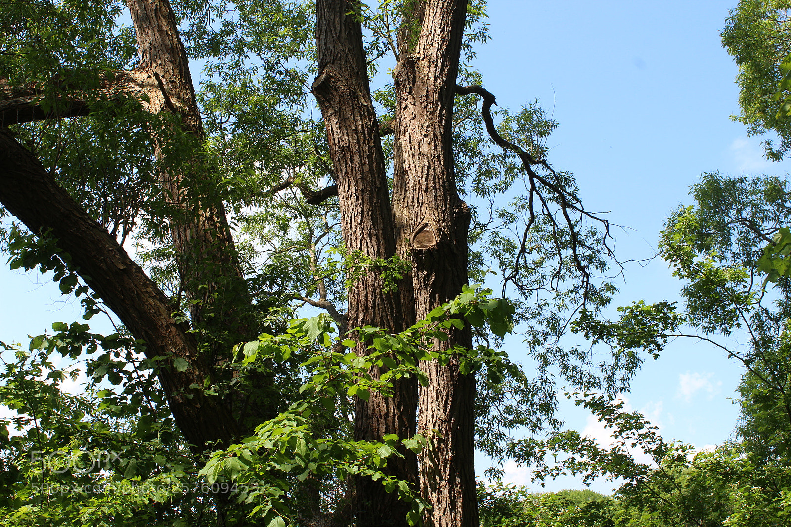 Canon EOS 1300D (EOS Rebel T6 / EOS Kiss X80) sample photo. Random shot from a photography