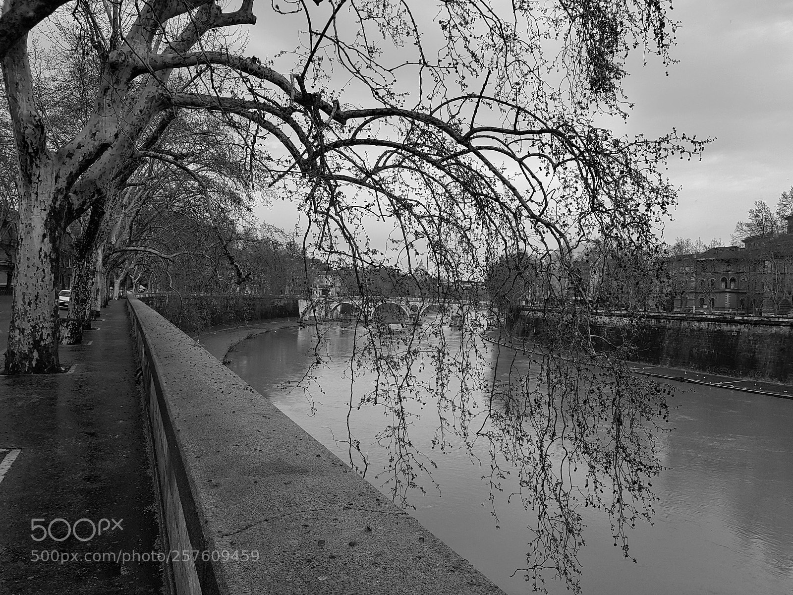 Samsung Galaxy S8+ sample photo. Rio fiume tevere blackandwhite photography
