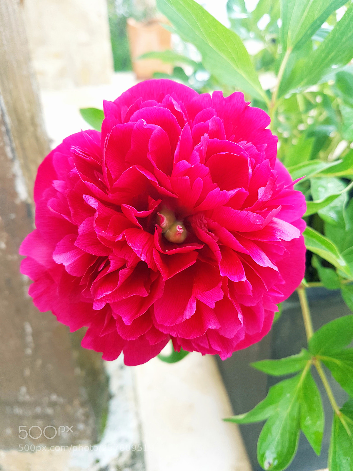 Samsung Galaxy S7 Edge sample photo. Untitled photography