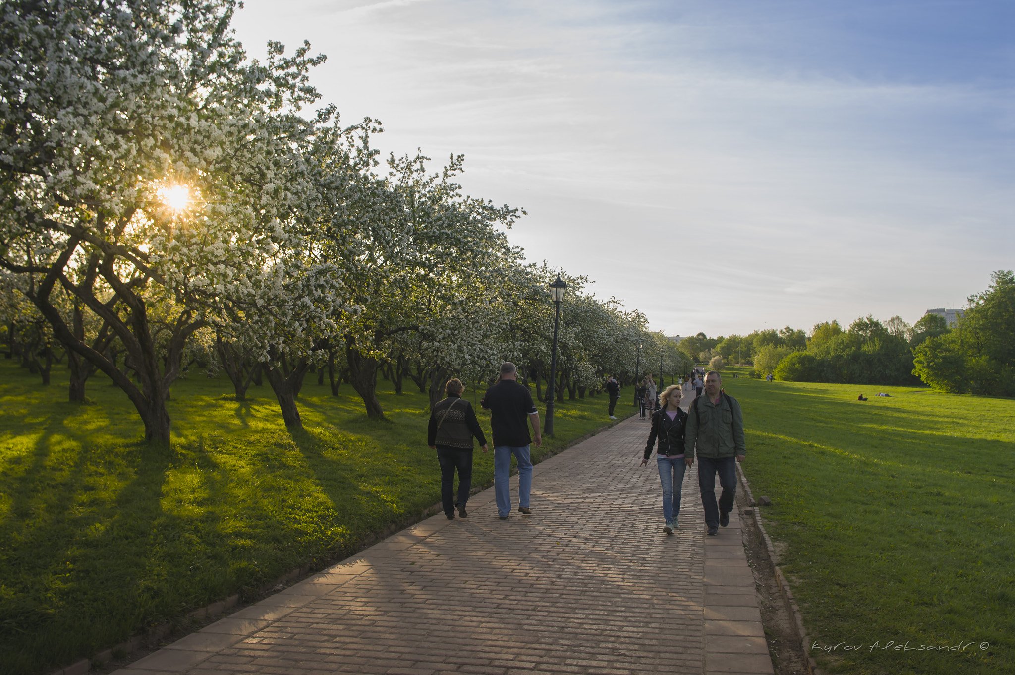 Pentax K20D sample photo. Kolomenskoye park, moscow (Парк Коломенское) photography