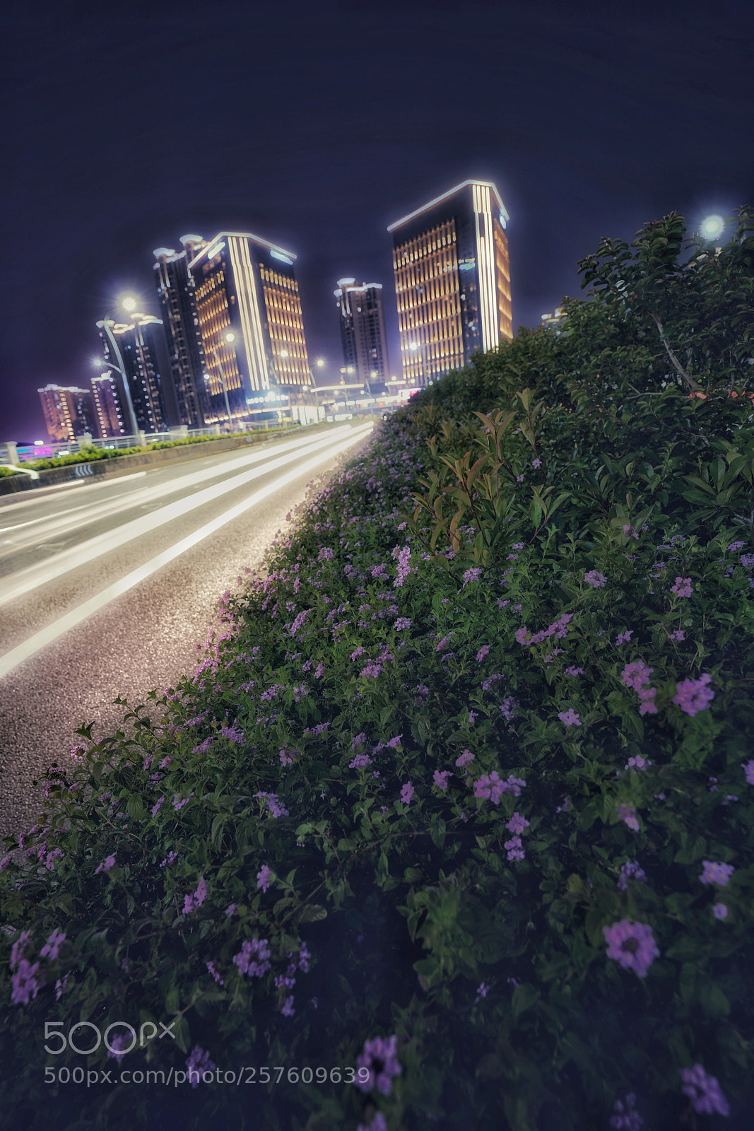 Sony a7R II sample photo. Untitled photography
