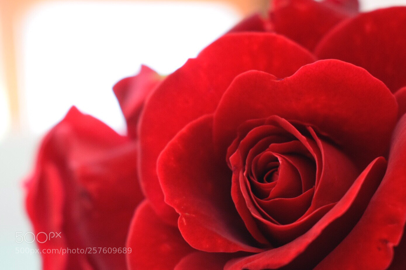 Nikon D5300 sample photo. Untitled photography