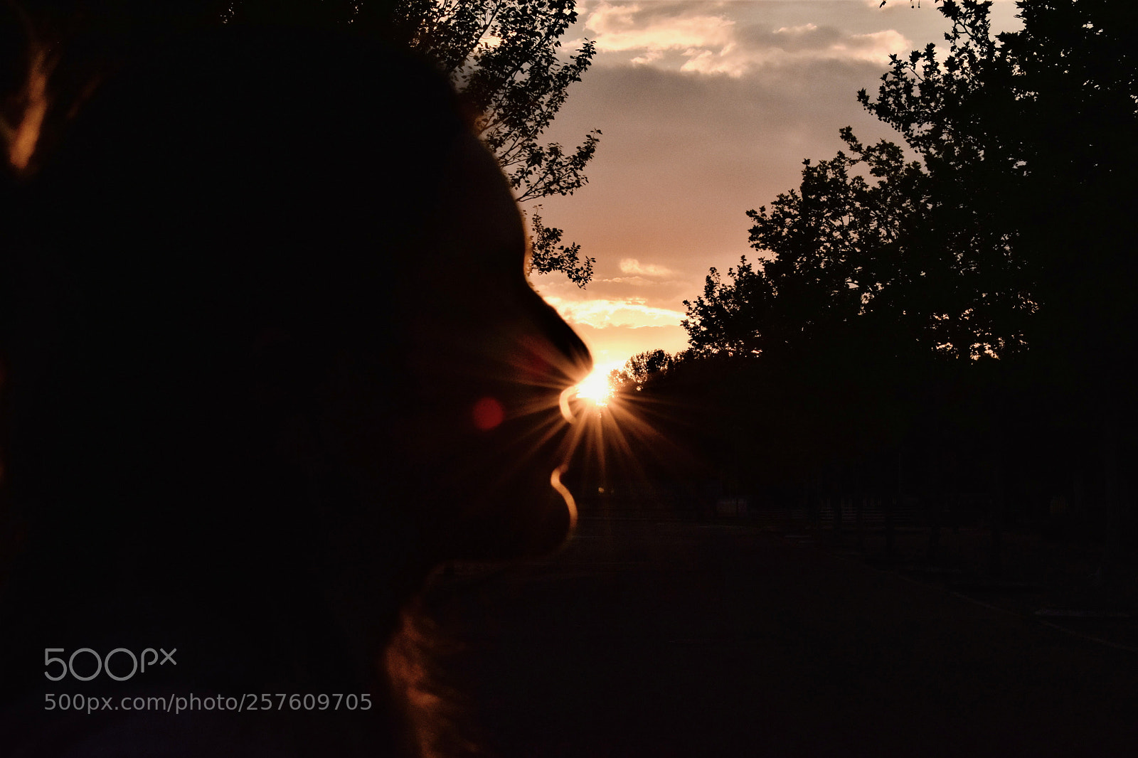 Nikon D3400 sample photo. Untitled photography