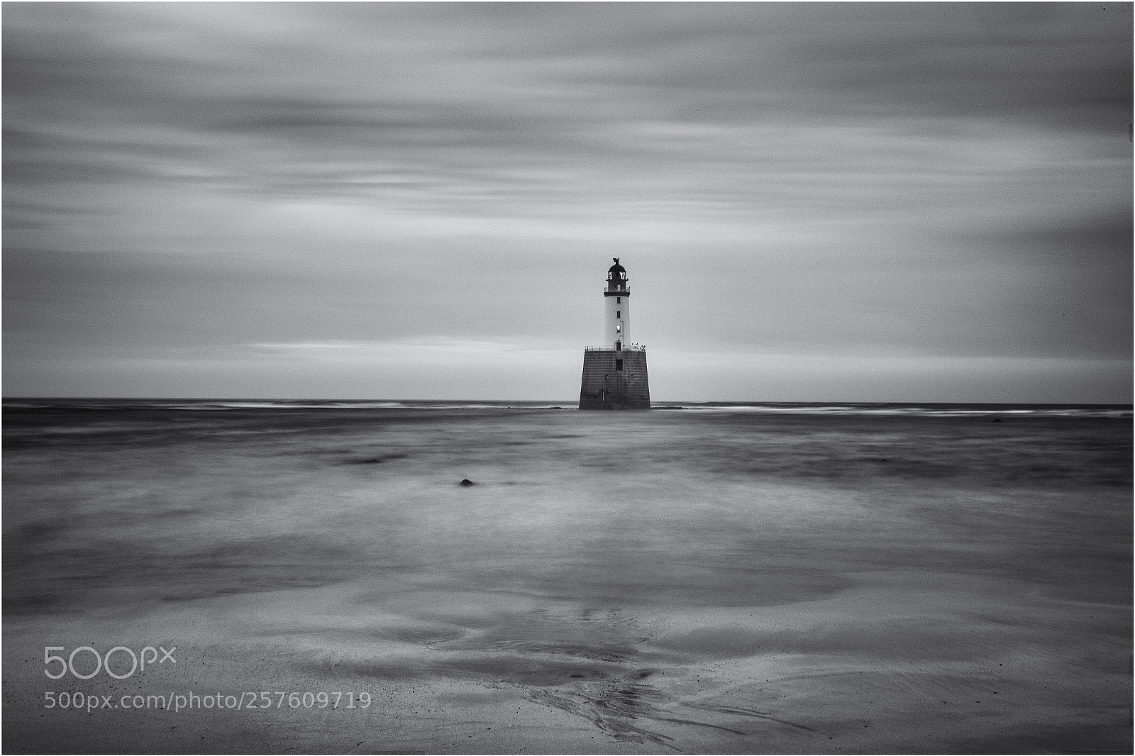 Canon EOS-1D X Mark II sample photo. Rattry head mono photography