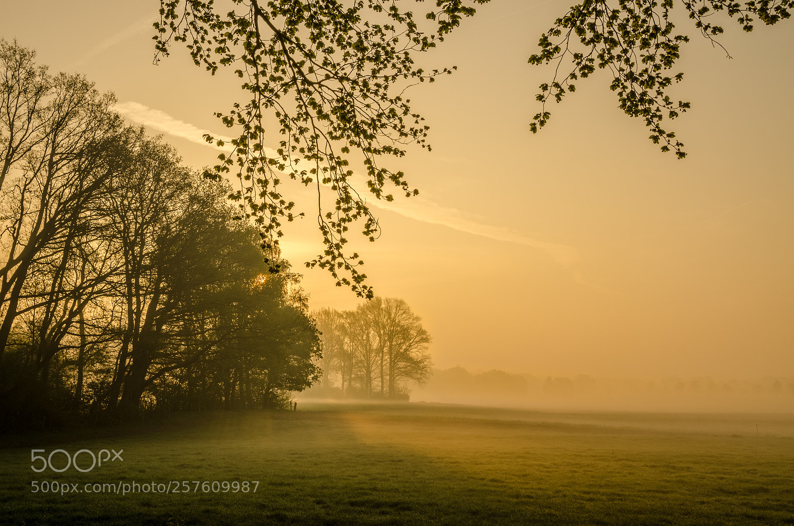 Nikon D7000 sample photo. Sunrise laag zuthem photography