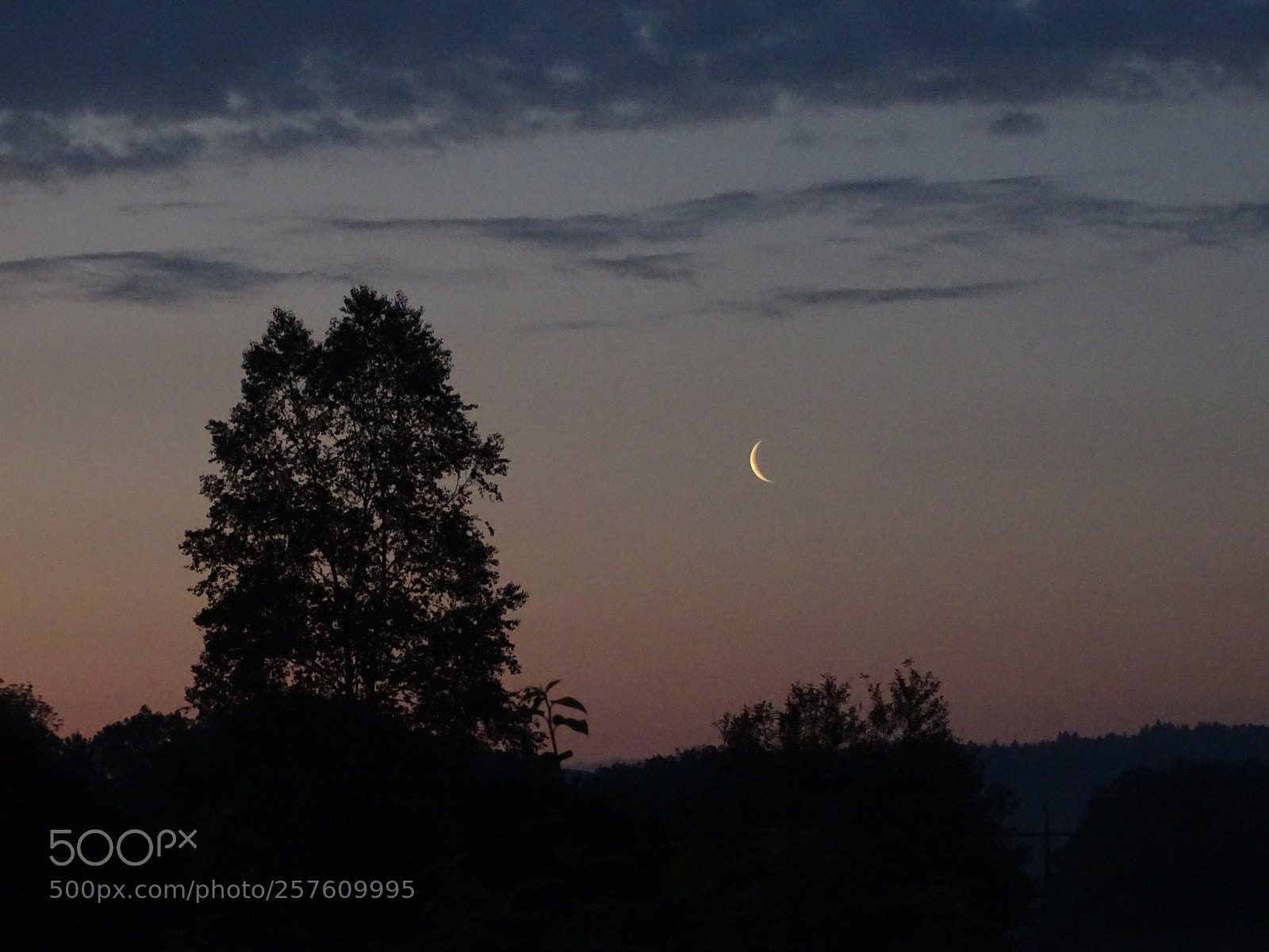 Sony Cyber-shot DSC-HX400V sample photo. Moonrise at dawn photography
