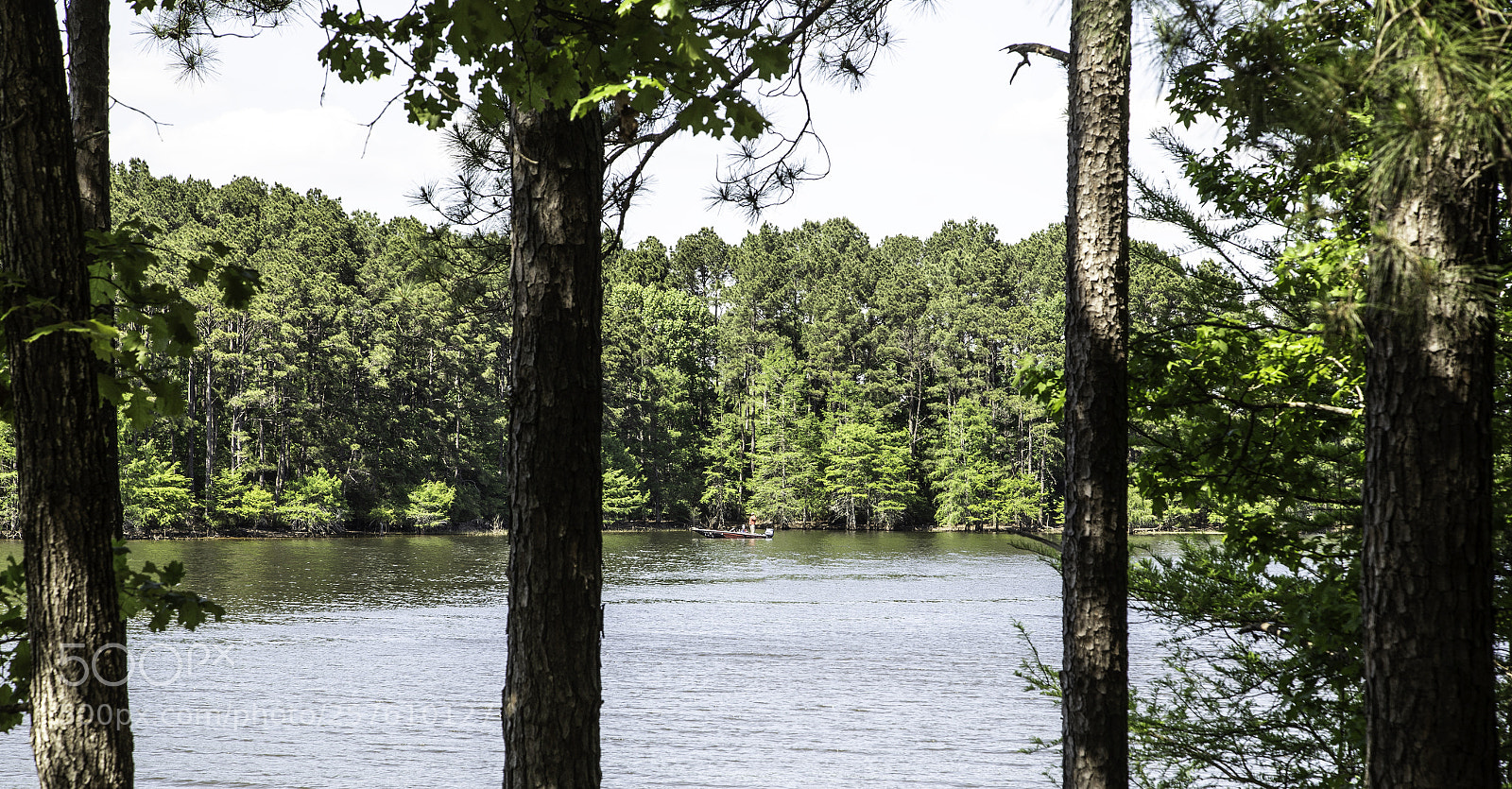 Canon EOS 6D sample photo. Sabine national forest photography