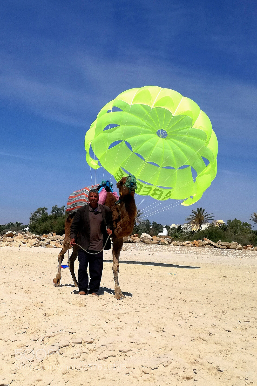 HUAWEI P9 LITE sample photo. Camel fly photography