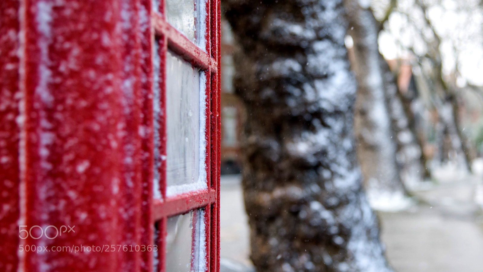 Nikon D810 sample photo. Untitled photography