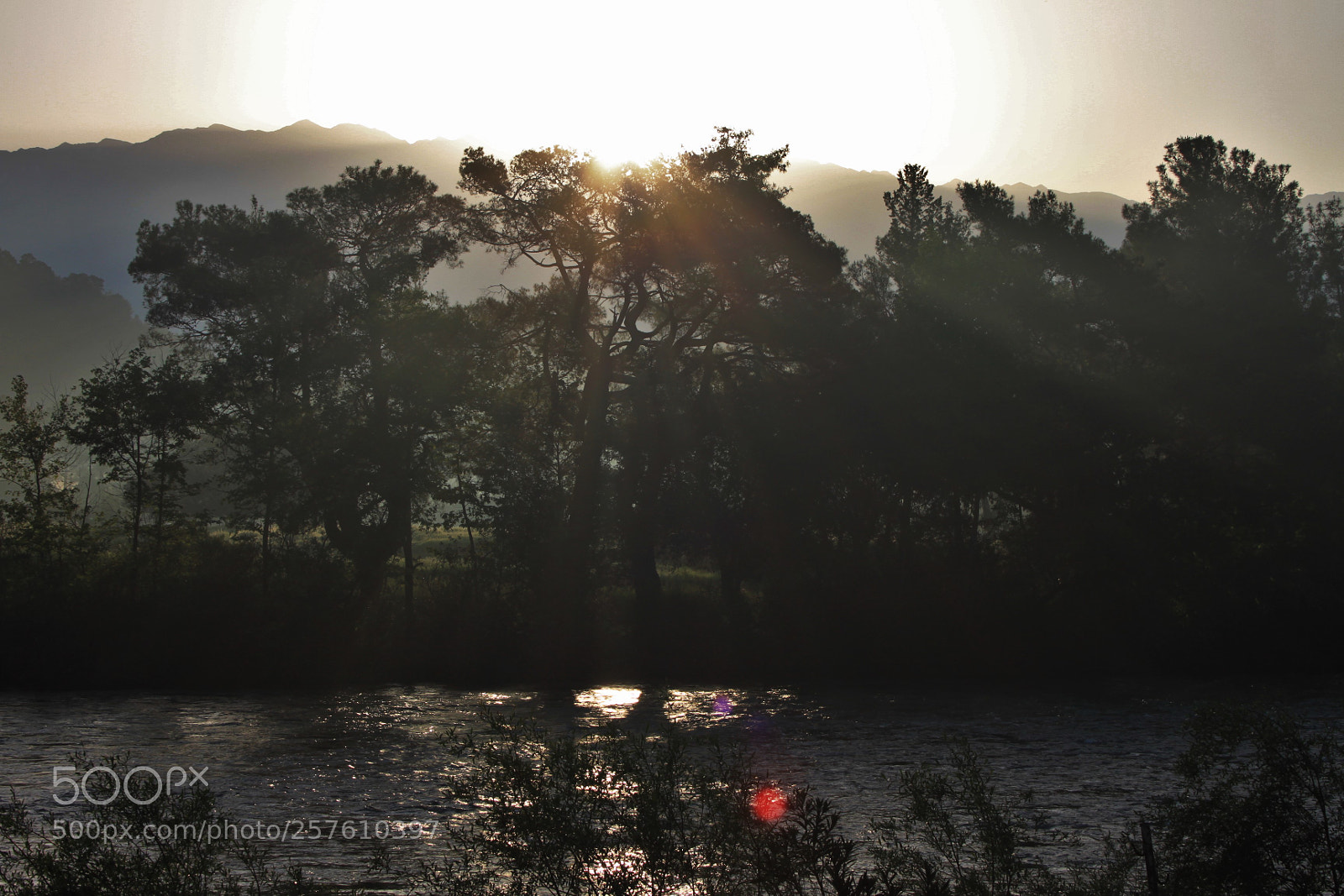 Canon EOS 500D (EOS Rebel T1i / EOS Kiss X3) sample photo. () photography