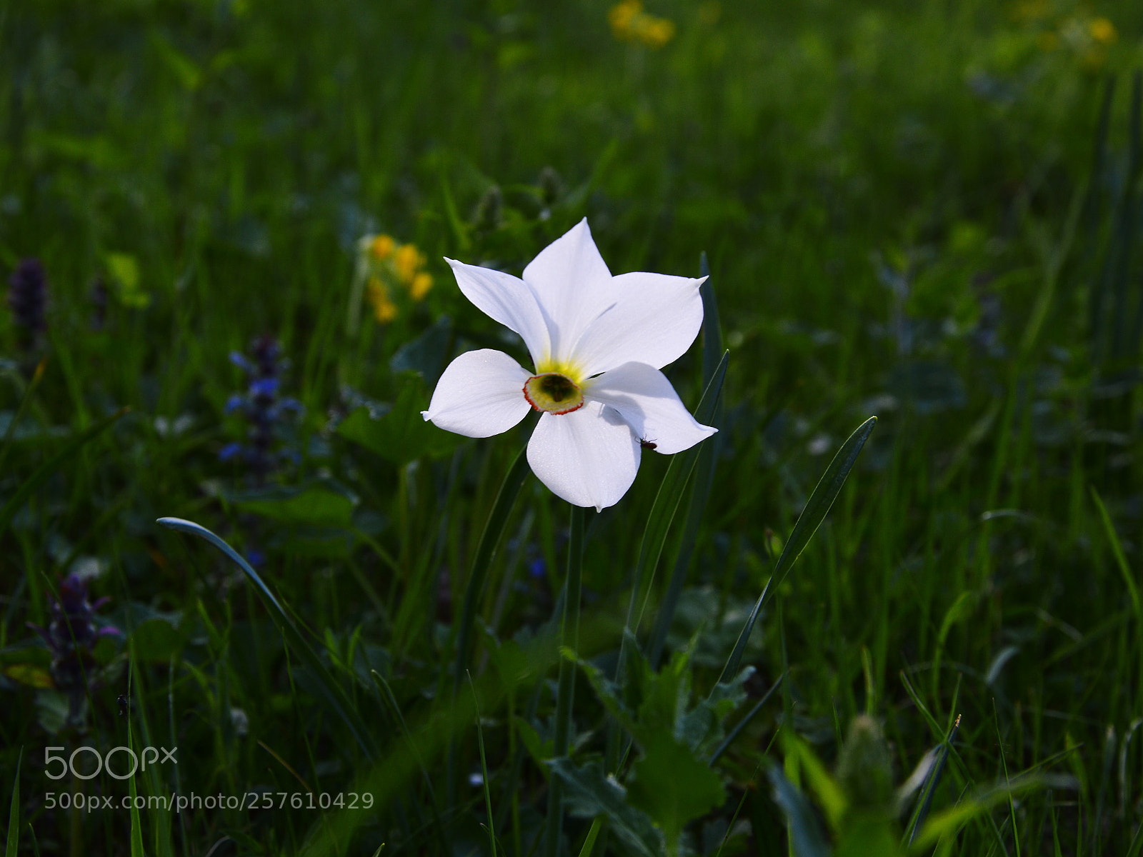 Nikon D3200 sample photo. Untitled photography