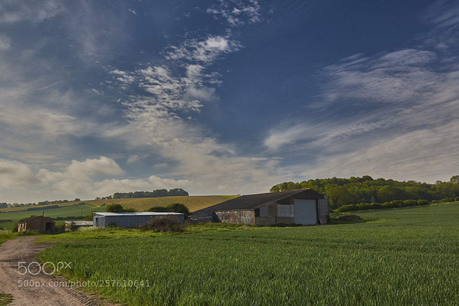 Nikon D7200 sample photo. Spring into summer photography