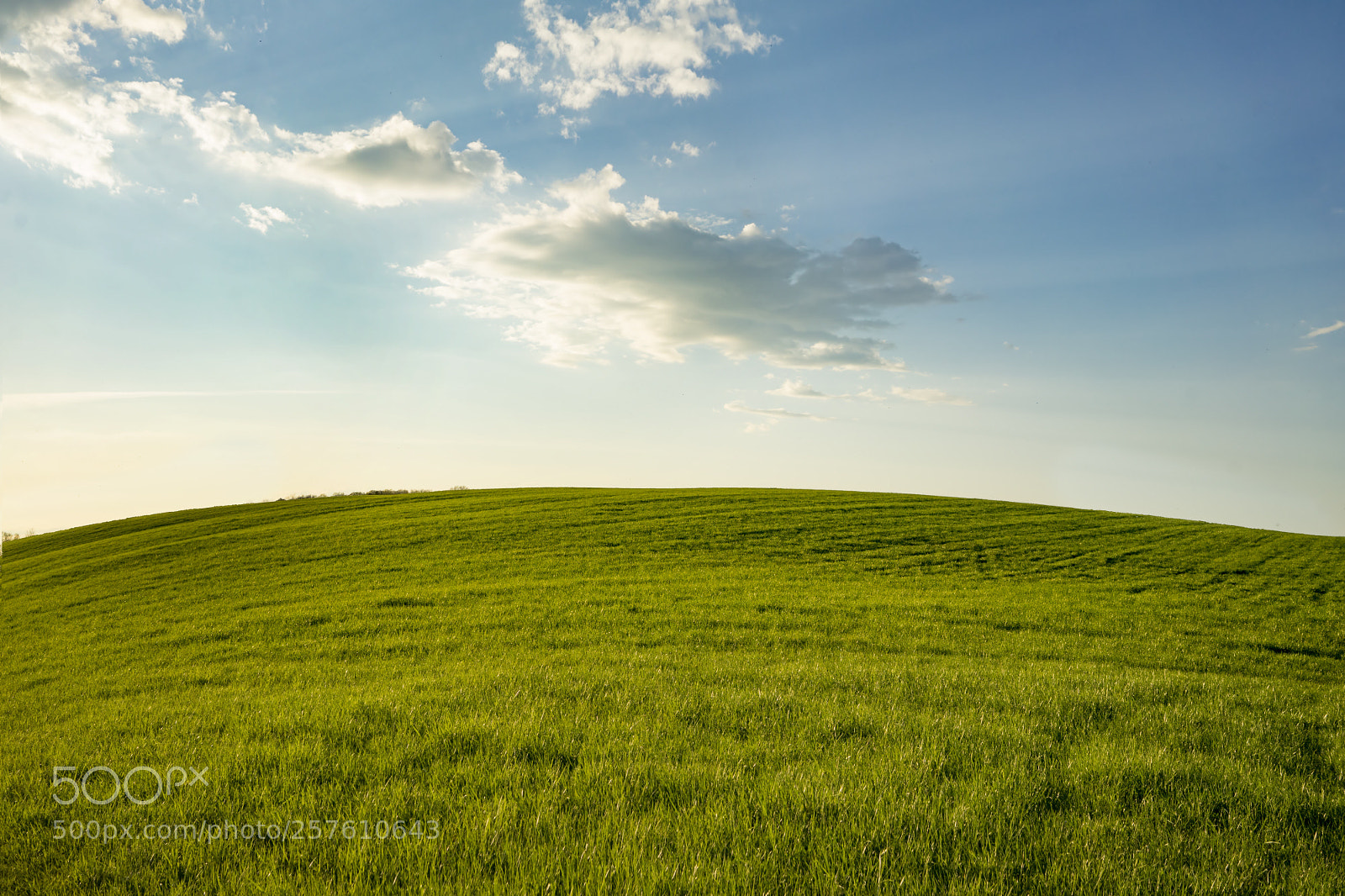 Sony a7 sample photo. Not windows shot photography