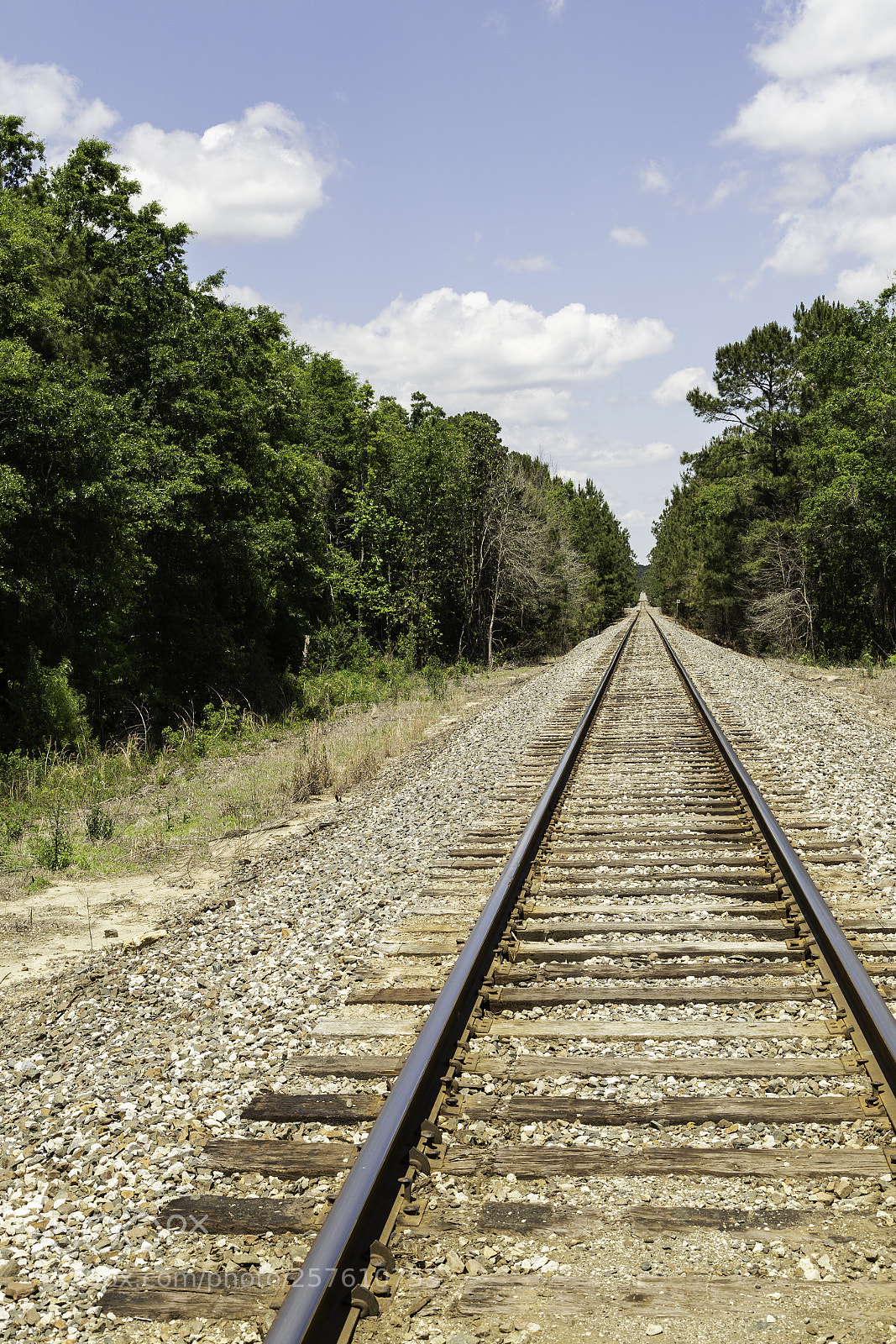 Canon EOS 6D sample photo. Railroad in the forest photography