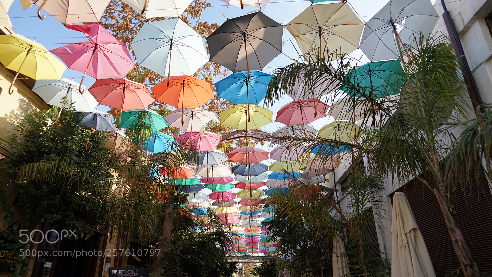Sony a7 II sample photo. Untitled photography