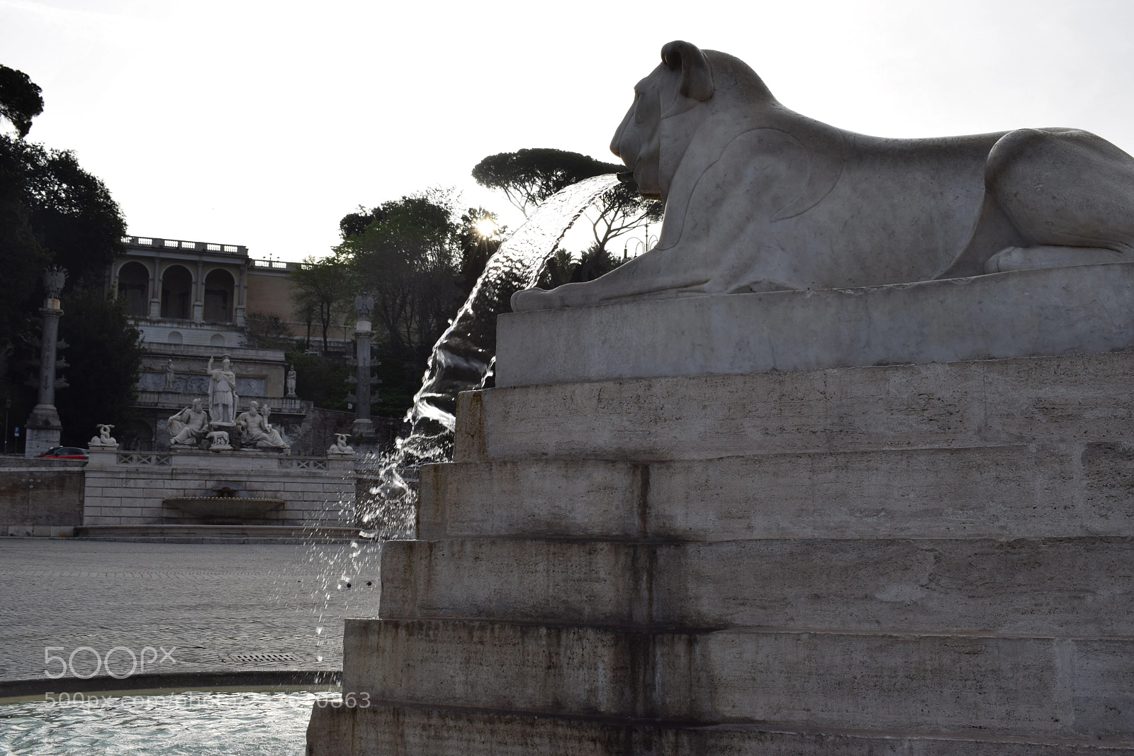 Nikon D5300 sample photo. King of the place photography