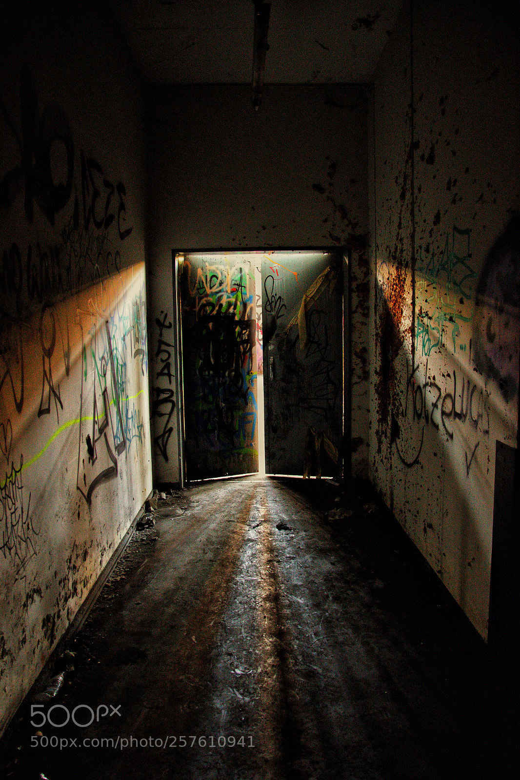 Canon EOS 7D Mark II sample photo. Untitled photography