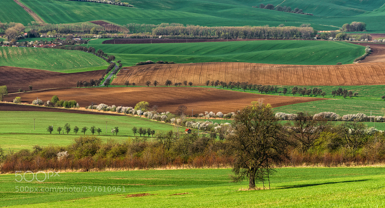 Nikon D610 sample photo. Moravian puzzle photography