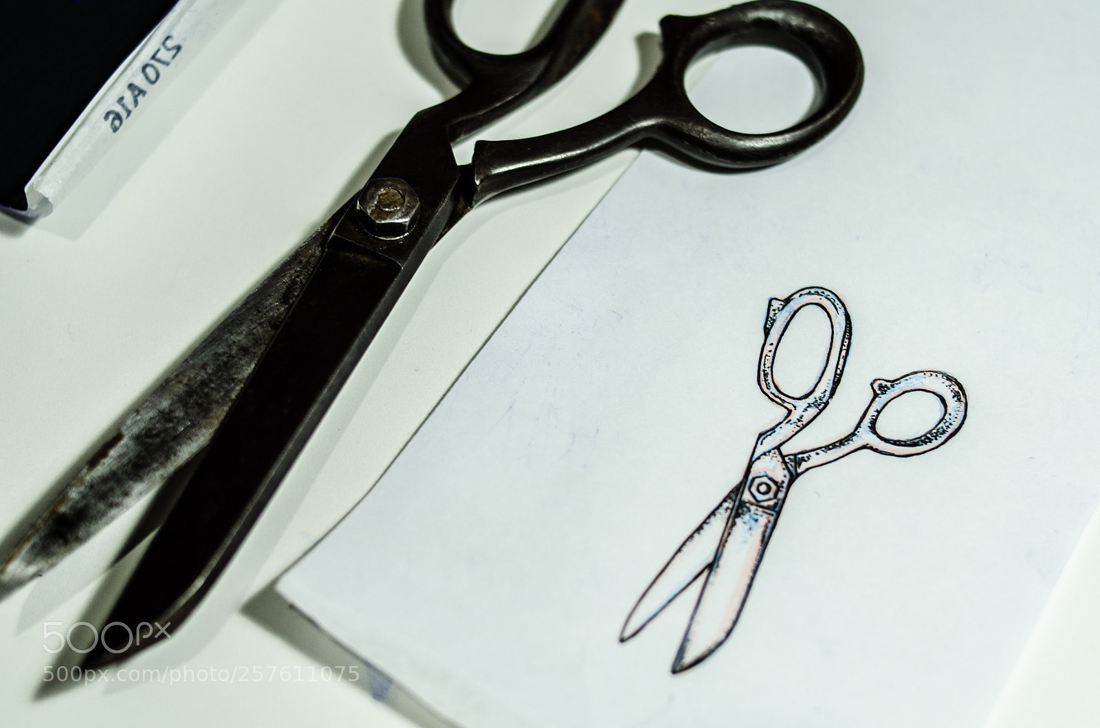 Nikon D7000 sample photo. Untitled photography