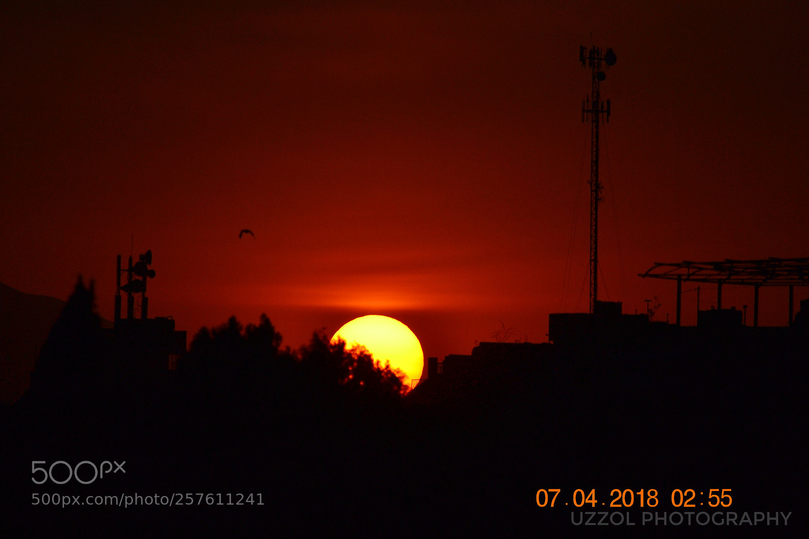 Nikon D3100 sample photo. Untitled photography