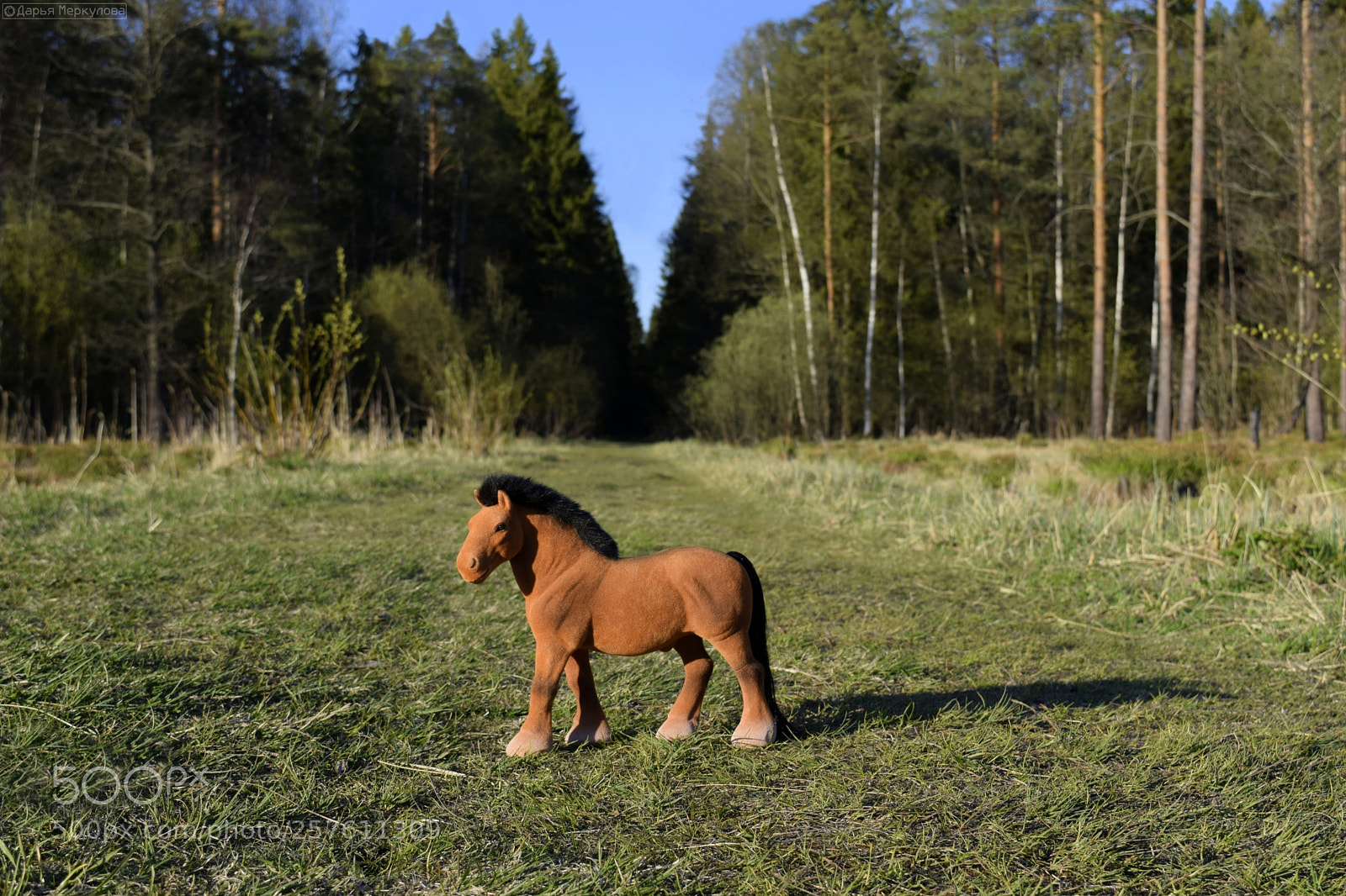 Nikon D3300 sample photo. Рыжая ломовая лошадь, игрушка - toy horse photography