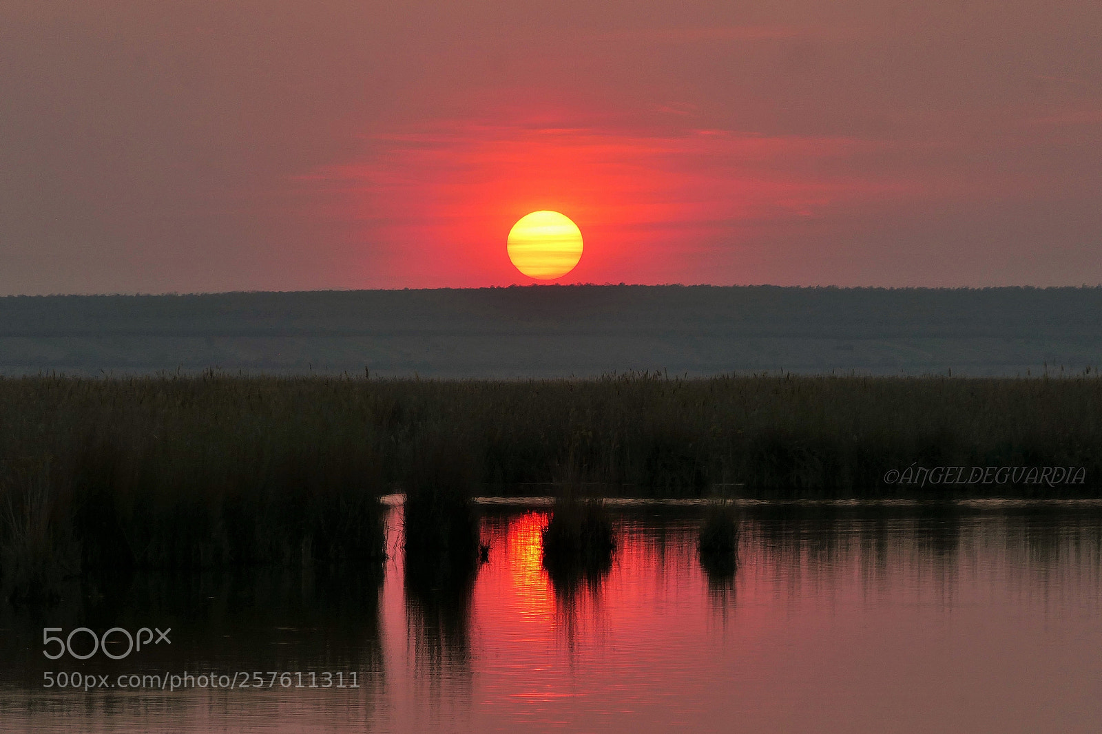 Panasonic Lumix DMC-FZ2500 (Lumix DMC-FZ2000) sample photo. *the magical sunset* photography