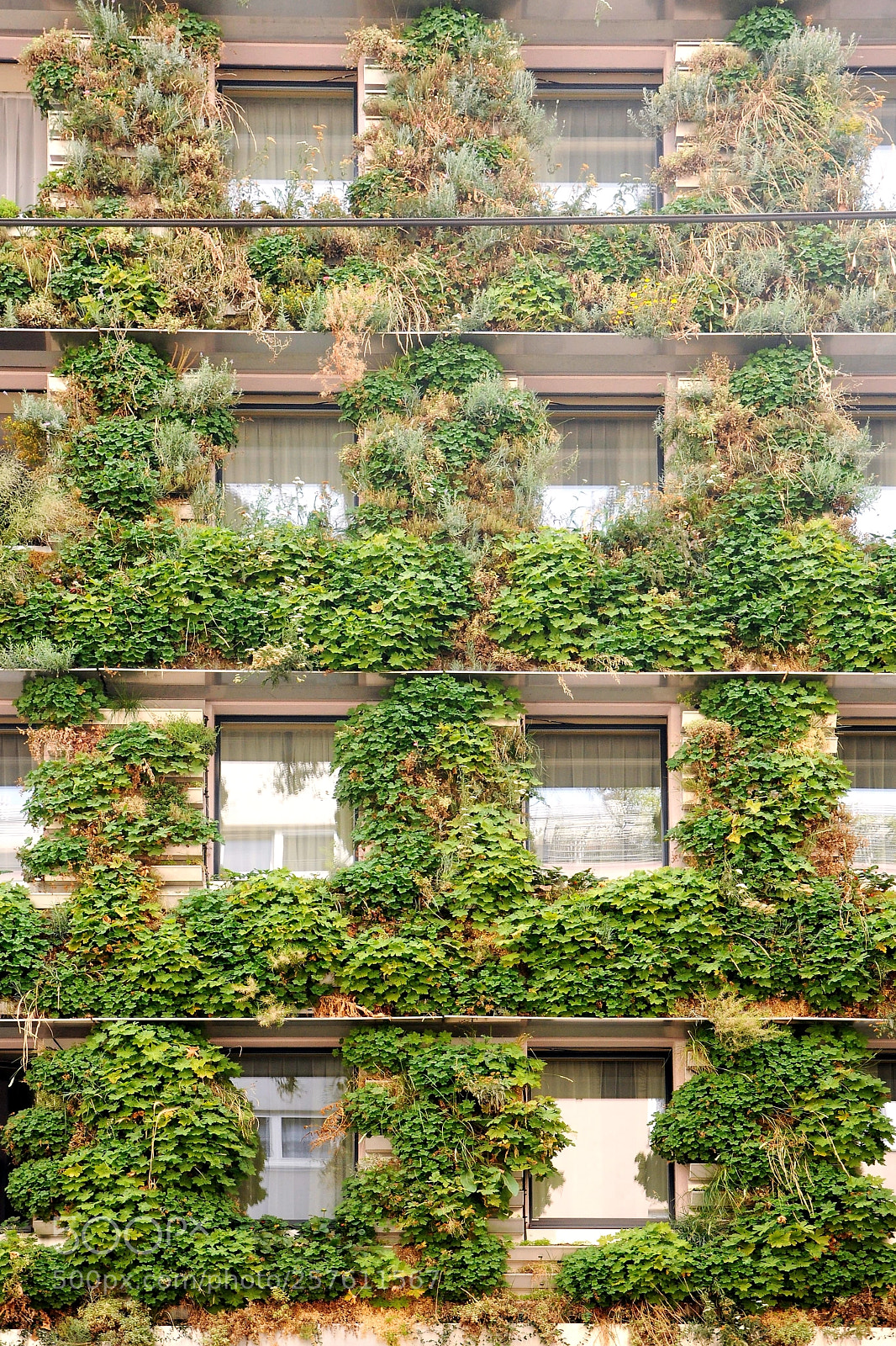 Nikon D90 sample photo. Natur in der stadt photography