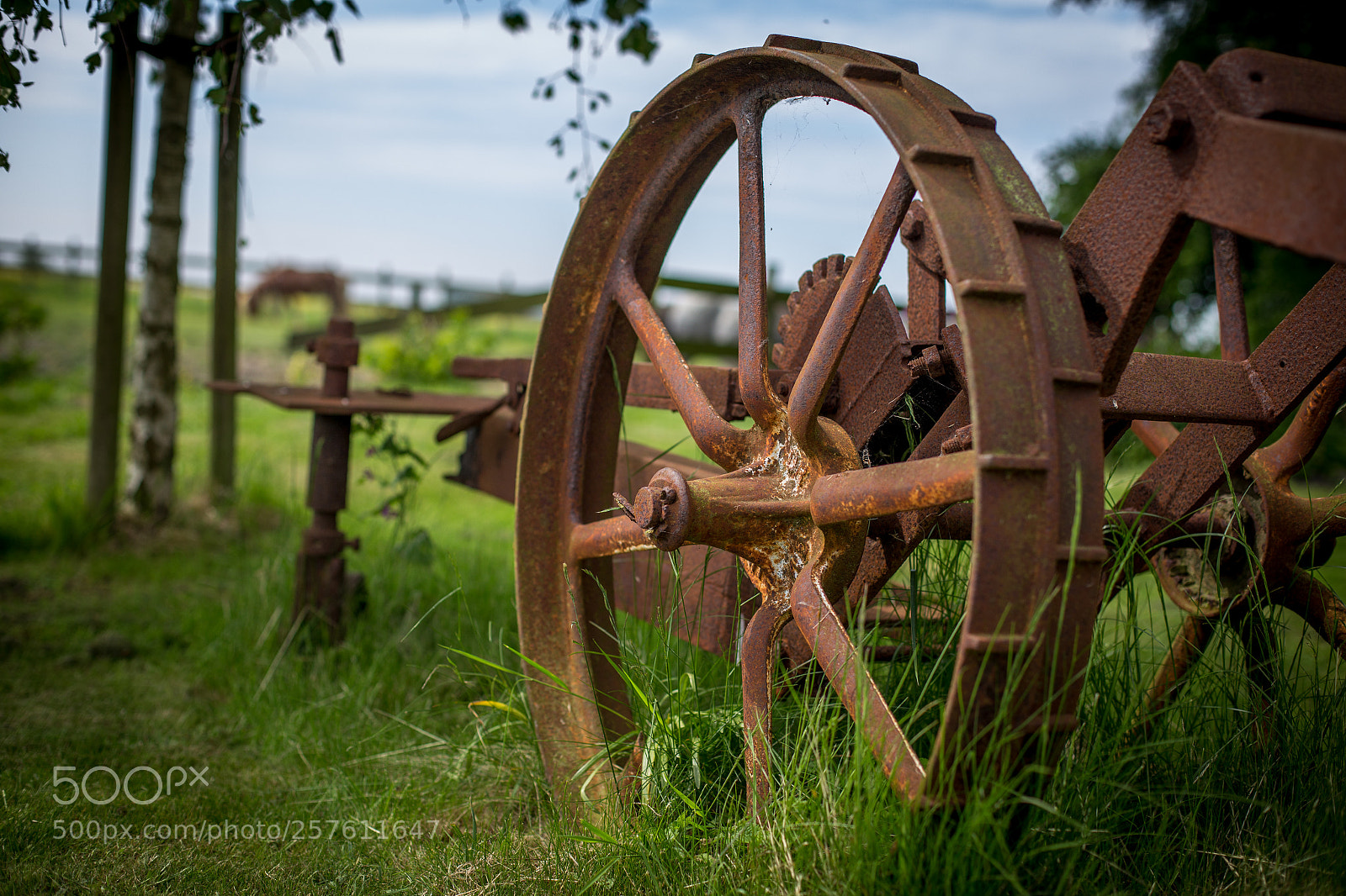 Canon EOS 6D sample photo. Untitled photography