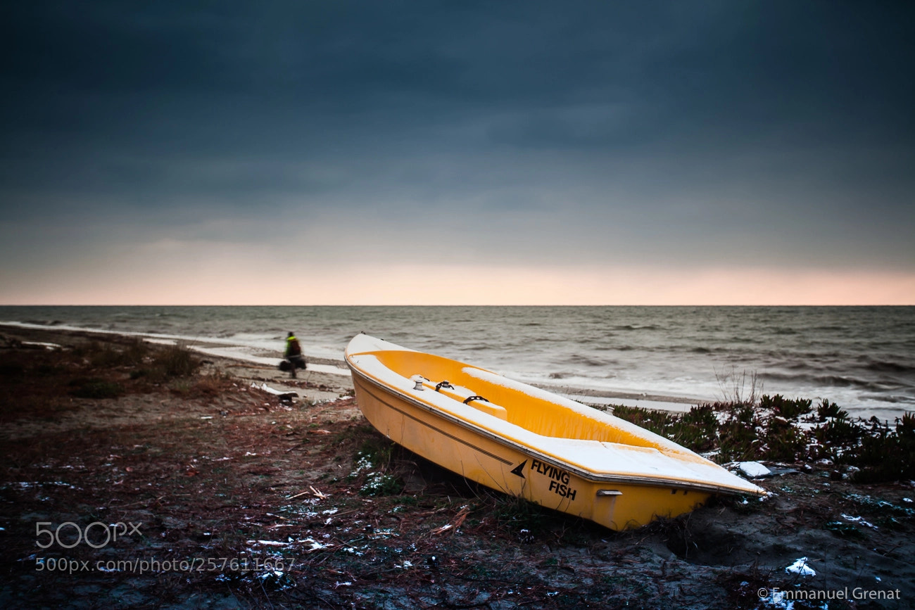 Canon EOS 5D Mark II sample photo. The sad passing photography