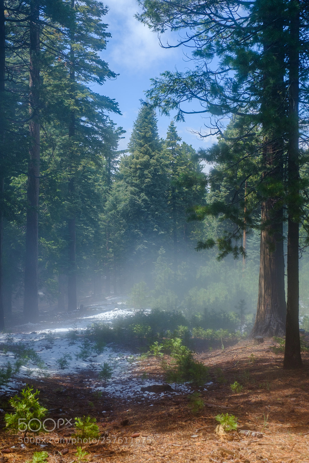 Fujifilm X-T2 sample photo. Twin peaks, california 6854 photography