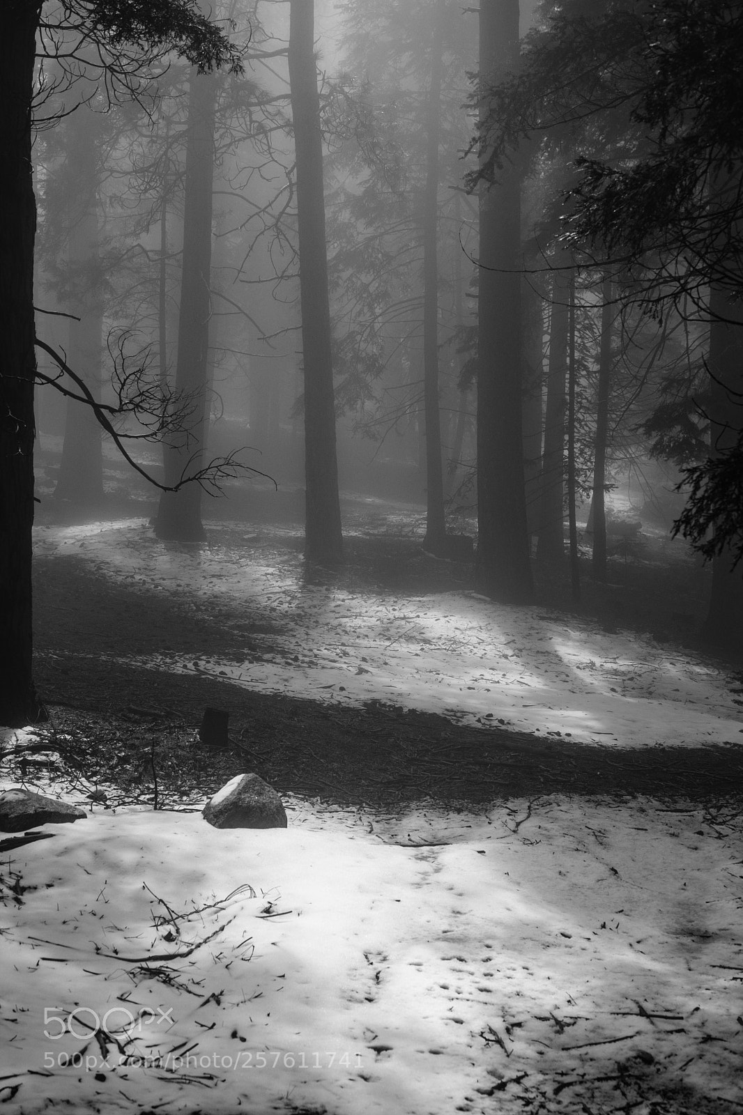 Fujifilm X-T2 sample photo. Twin peaks, california 6871 photography