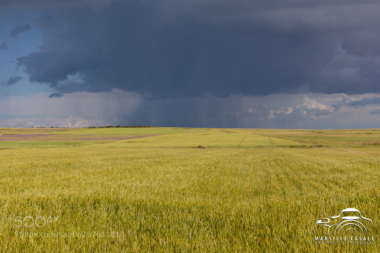 Canon EOS 5D Mark IV sample photo. Storm approaching photography