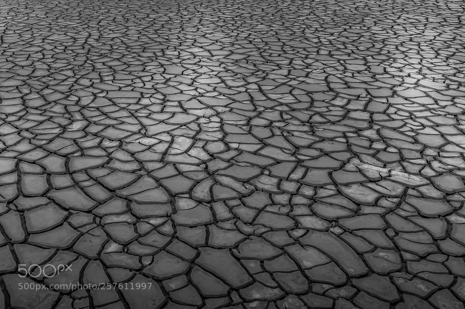 Sony a7R III sample photo. Mud cracks, antelope island photography