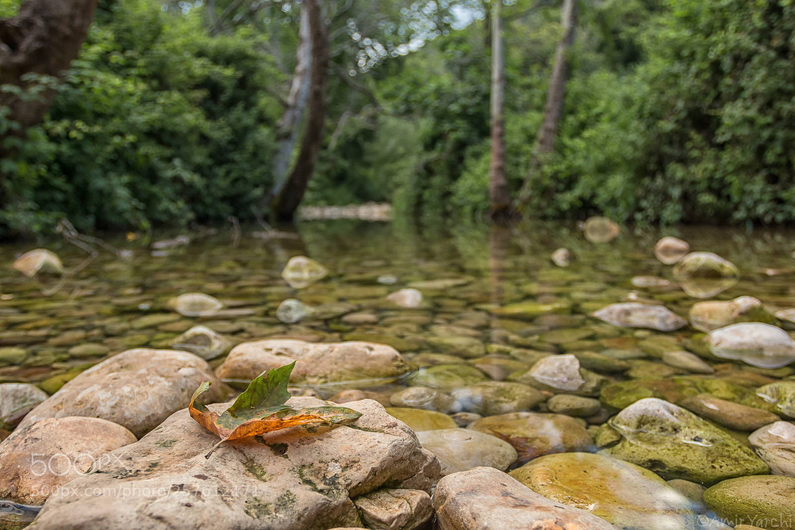 Canon EOS 70D sample photo. Relax photography
