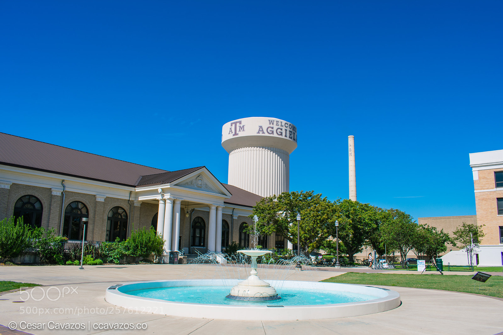 Nikon D3400 sample photo. Aggieland photography