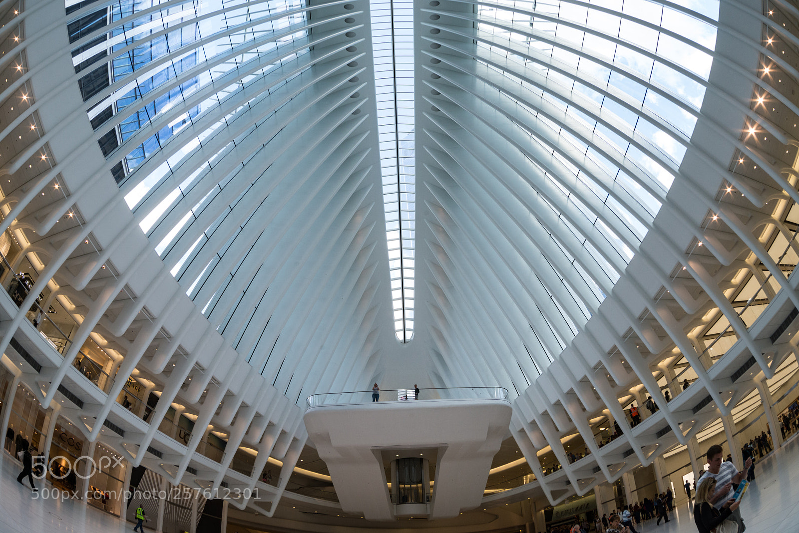 Nikon D600 sample photo. Wtc photography