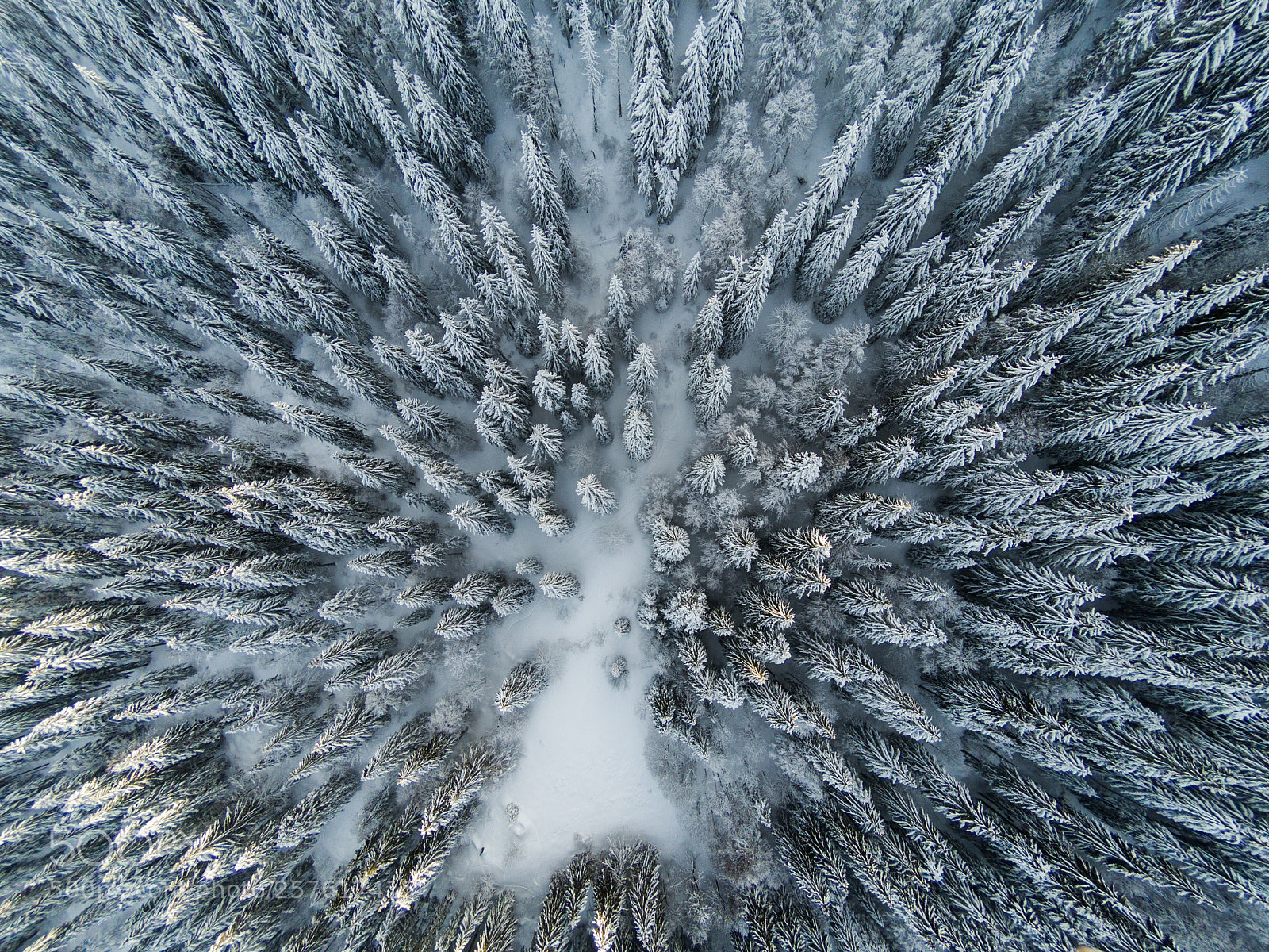 GoPro Hero5 Black sample photo. Untitled photography