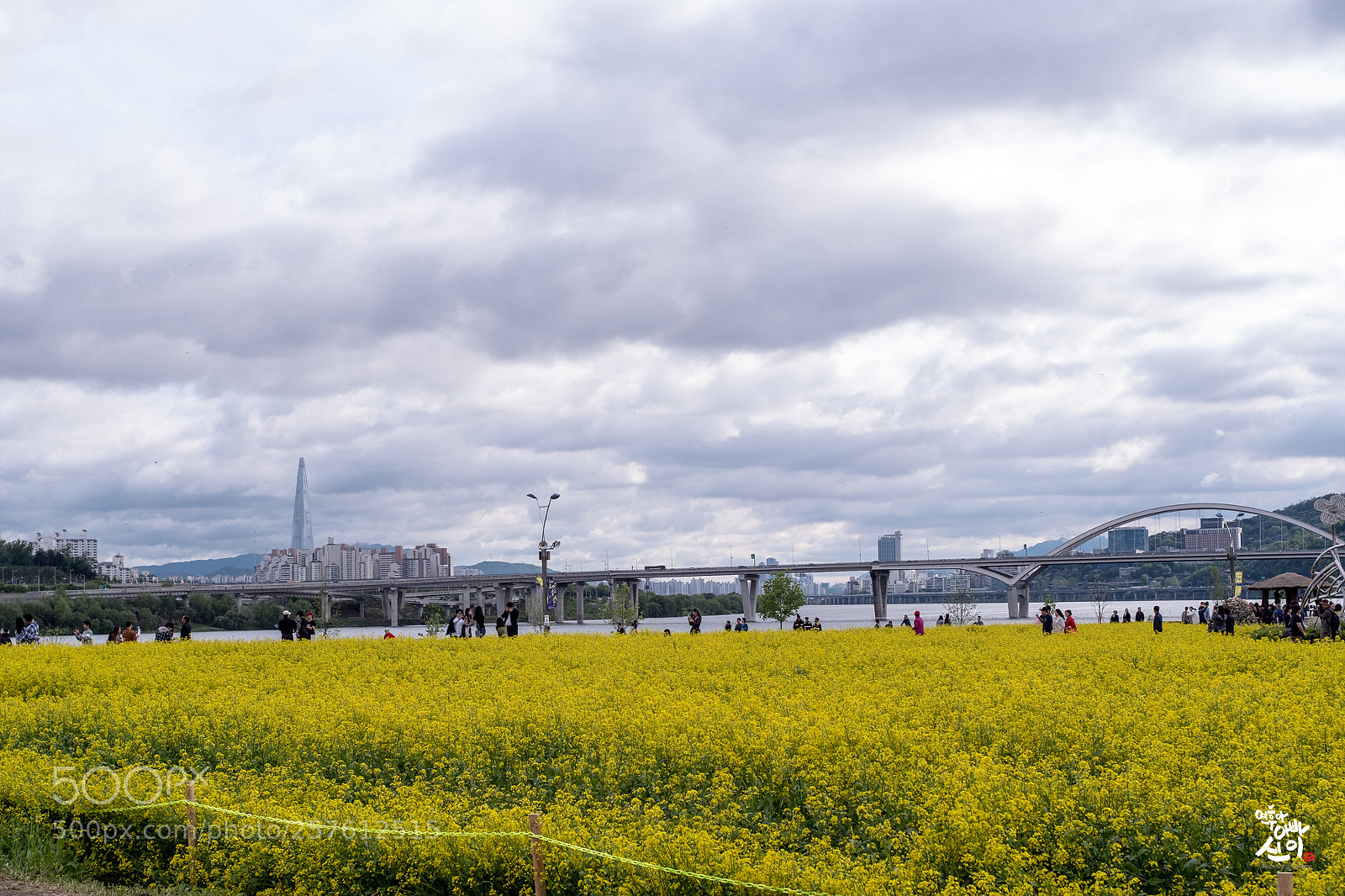 Fujifilm X-T2 sample photo. Rapeseed park02 photography