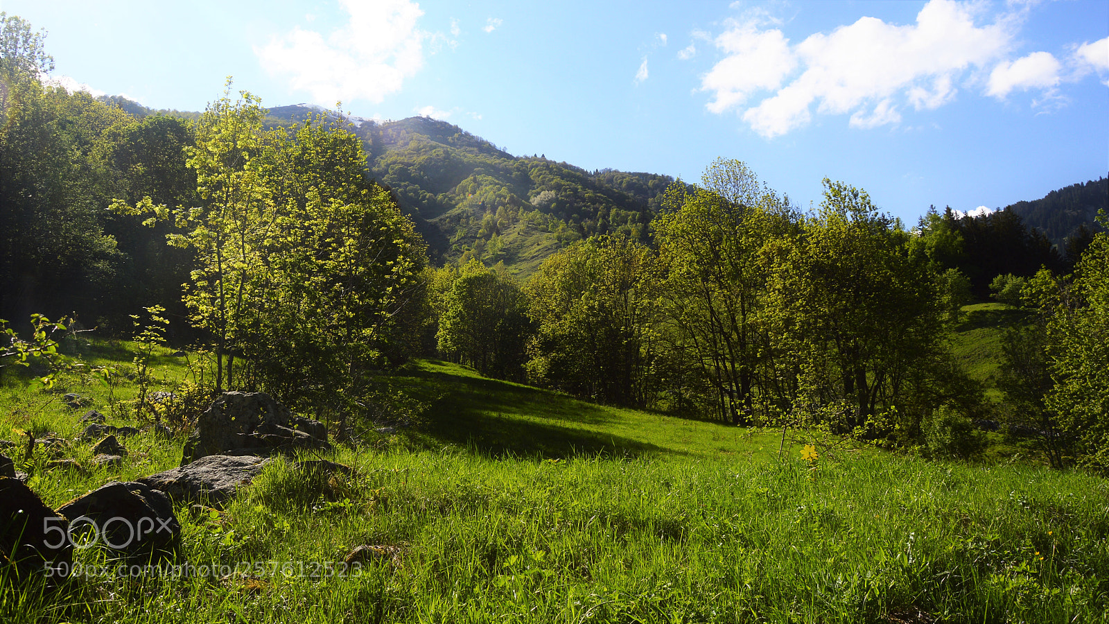 Nikon D3200 sample photo. Untitled photography