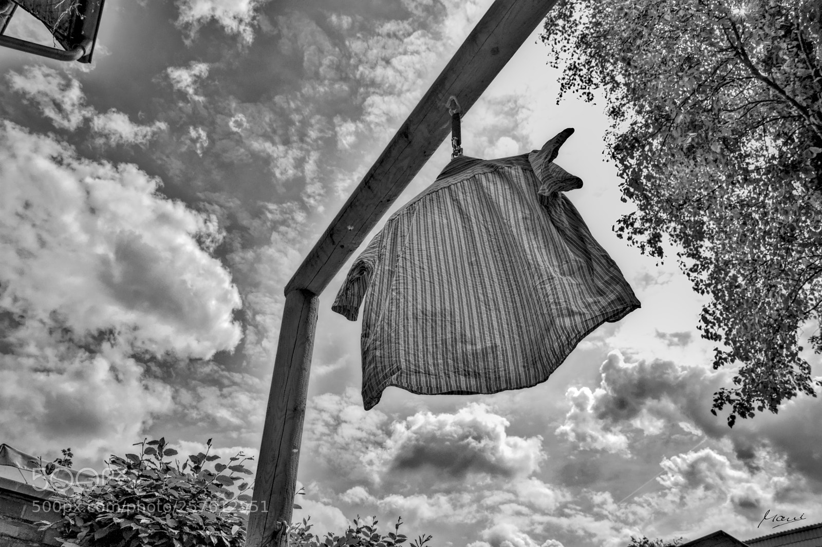 Nikon D90 sample photo. Flying - drying photography