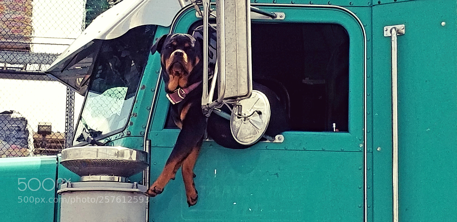 Samsung Galaxy S8 sample photo. Life on the road photography